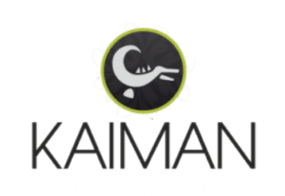 logo-2008